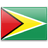 Guyanese higher education-related organizations