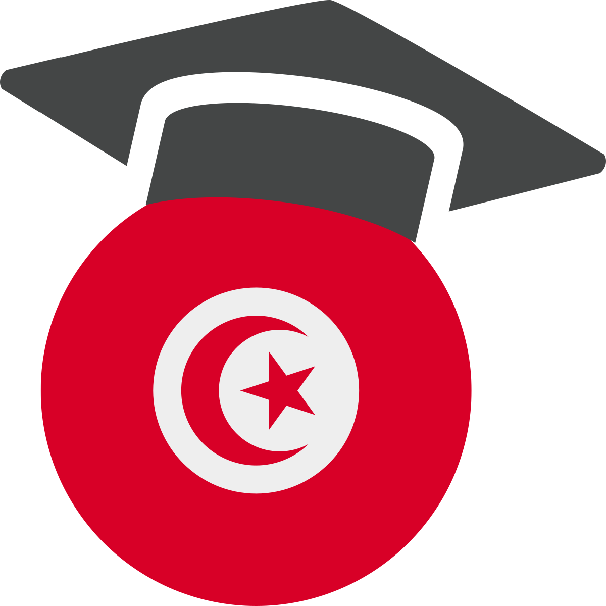 top-public-universities-in-tunisia-2024