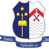 Université de Lubumbashi's Official Logo/Seal