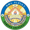 Samara University's Official Logo/Seal