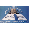 Woldia University's Official Logo/Seal