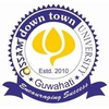 Assam Down Town University's Official Logo/Seal