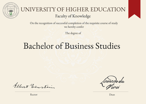 Bachelor of Business Studies (BBS) program/course/degree certificate example