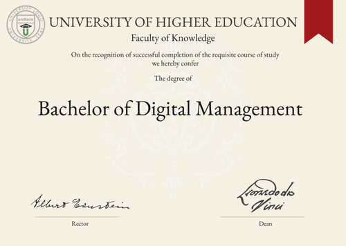 Bachelor of Digital Management (BDM) program/course/degree certificate example