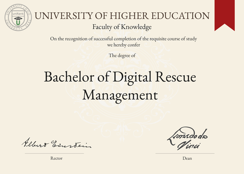 Bachelor of Digital Rescue Management (BDRM) program/course/degree certificate example