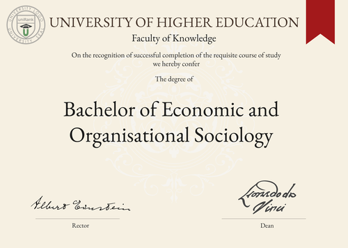 Bachelor of Economic and Organisational Sociology (B.Econ.Org.Soc.) program/course/degree certificate example