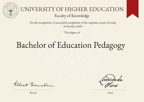 Bachelor of Education Pedagogy (B.Ed. Pedagogy) program/course/degree certificate example