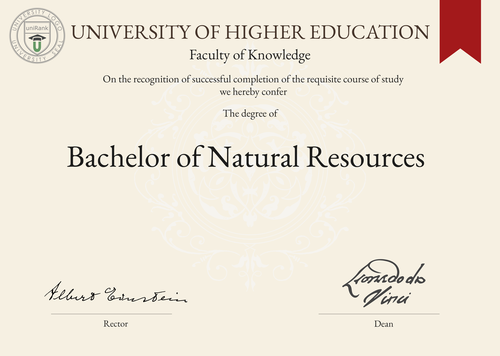 Bachelor of Natural Resources (BNR) program/course/degree certificate example