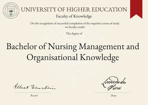 Bachelor of Nursing Management and Organisational Knowledge (B.N.M.O.K.) program/course/degree certificate example