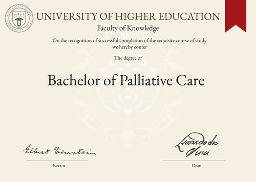 Bachelor of Palliative Care (BPC) program/course/degree certificate example