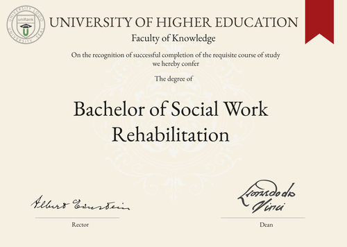 Bachelor of Social Work Rehabilitation (BSW Rehabilitation) program/course/degree certificate example