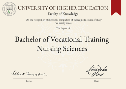 Bachelor of Vocational Training Nursing Sciences (BVoc Nursing Sciences) program/course/degree certificate example