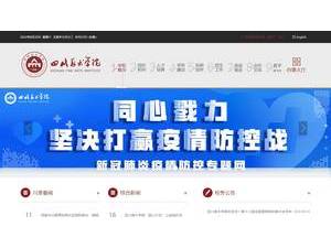Sichuan Fine Arts Institute's Website Screenshot