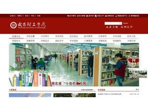 武昌理工学院's Website Screenshot