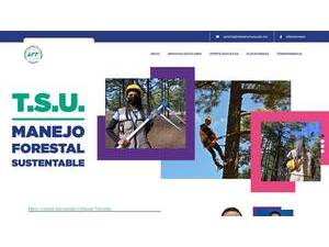 Technological University of the Tarahumara's Website Screenshot
