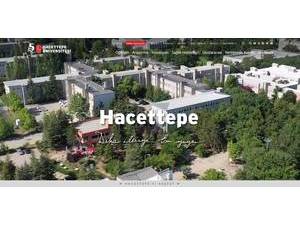 Hacettepe University's Website Screenshot